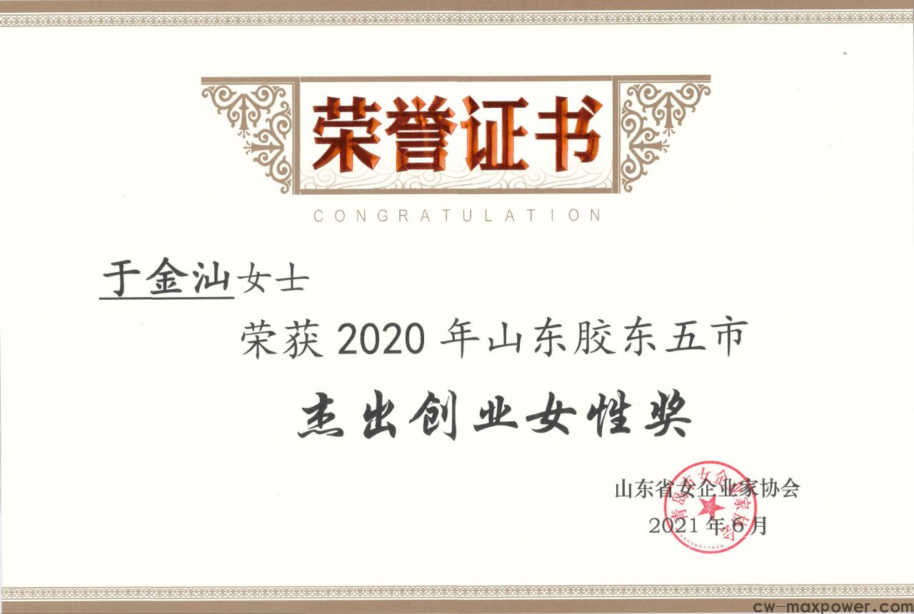 喜報！于金汕總經(jīng)理榮獲2020年山東膠東五市杰出創(chuàng)業(yè)女性獎(圖2)